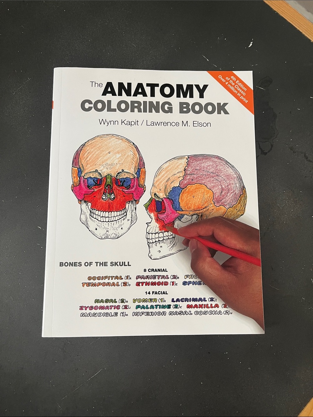The anatomy coloring book